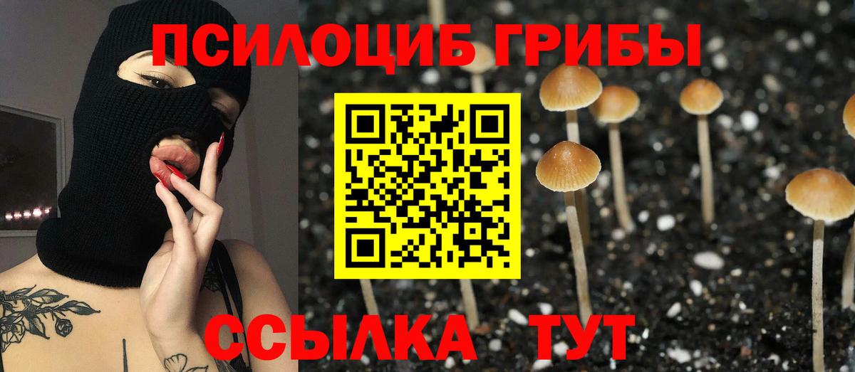 Галлюциногенные грибы Cubensis  магазин продажи наркотиков  Вход с VPN  Холмск  Псилоцибиновые грибы ЛСД 